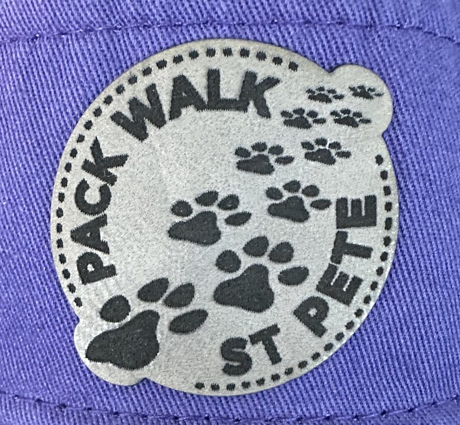 Pack Walk St. Pete Dad Hat - Mesh